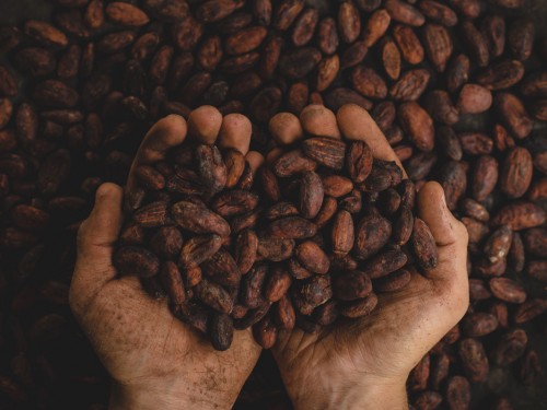 Five ways to really enjoy chocolate on your travels