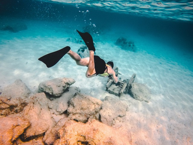 We dive into summer with Scuba 2000