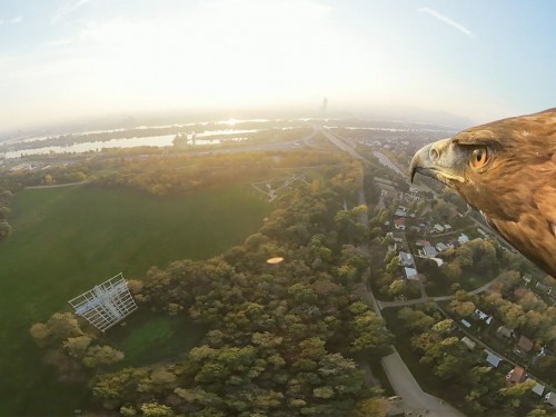 Here's what Vienna looks like through the eyes of an eagle