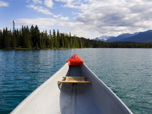 Costsaver's 2019-20 Americas program revealed