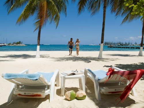 Learn more about Jamaica with the latest agent FAMs