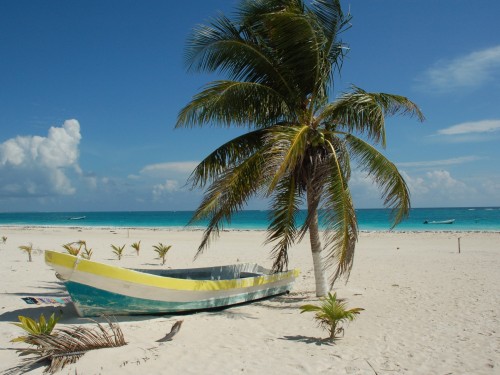 Transat buys land in Puerto Morelos for hotel development