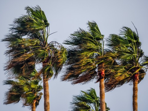 Hurricane Rosa could bring flash flooding to southwest U.S.