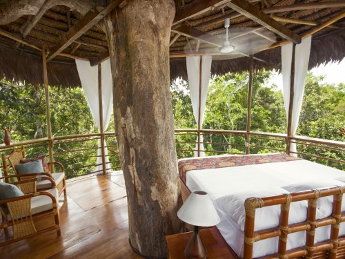 Look up!: Luxury treetop accommodations and experiences from around the world