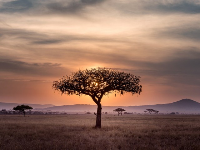 Tourcan's latest presentation highlights Kenya & South Africa