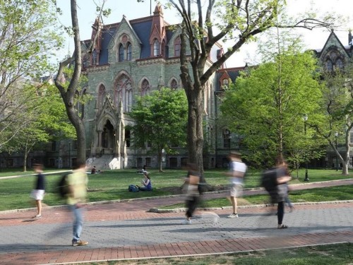 Carnival develops a new sales and marketing program in partnership with top U.S. business school