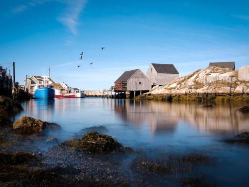 WestJet celebrates 15 years of service in Nova Scotia