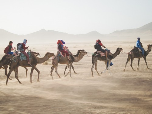Agents, this is how you sell more trips to Morocco
