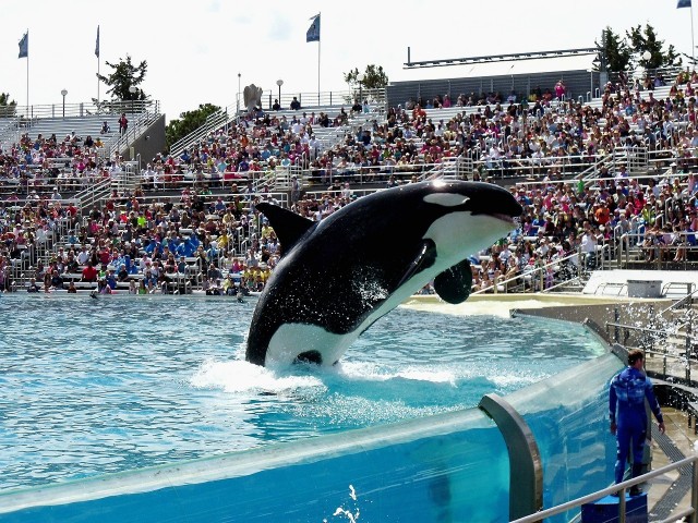 Air Canada & WestJet are fin-ished with SeaWorld