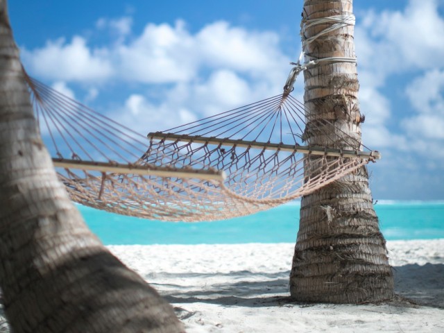 Free CareFlex & CareFree plans from ACV this winter