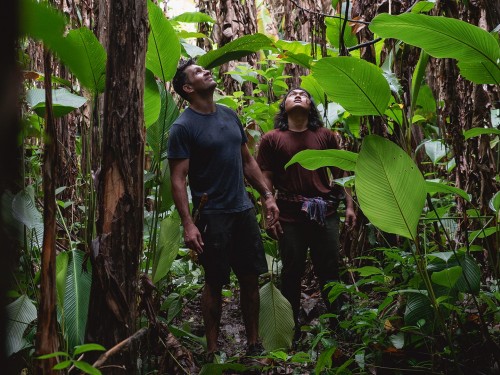 KLM creates virtual reality experiences for wannabe travellers