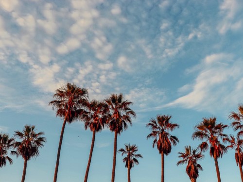 Karisma shines a light on human trafficking with UNITAS partnership