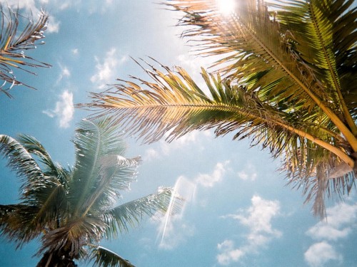 Visit Florida launches new e-learning platform for Canadian travel pros