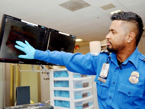 TSA struggles under U.S. government shutdown as sick numbers soar