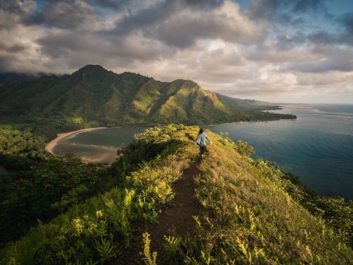 TravelBrands offering agents up to 35% off Hawaii