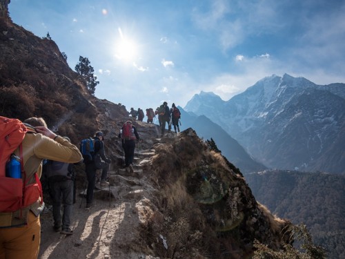 Intrepid reveals mystery FAM; new agent initiative