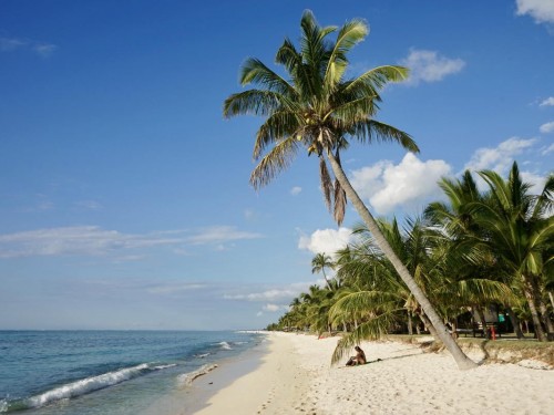 Last call for ACV’s summer BOGO promo