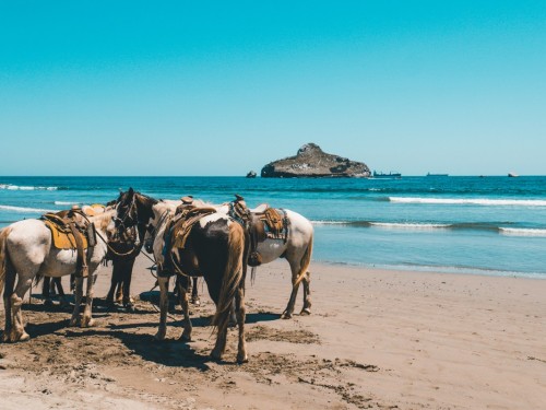 HAL adds 20 Mexican Riviera cruises for 2019/2020