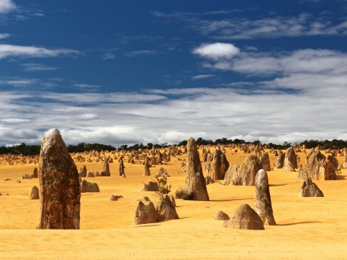 Goway offering $100 to agents who book Downunder