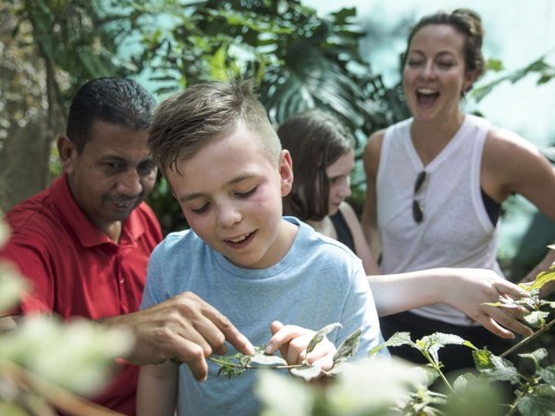 G Adventures & NatGeo's new family itineraries ready to book