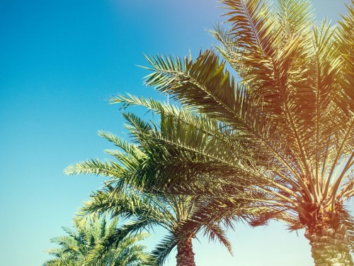 Dreams in the DR: new property coming soon