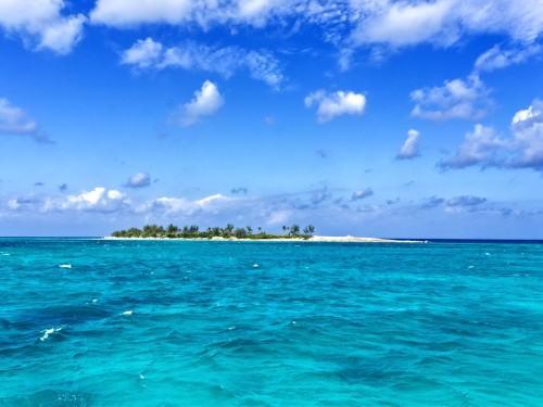 Bahamas still safe for snorkelling, despite fatal shark attack