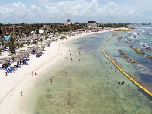 How Bahia Principe is successfully tackling sargassum in the south