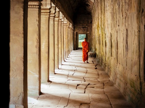 Nine new trips in Trafalgar's 2020/2021 Asia itineraries