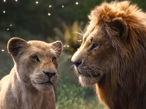 The spotlight is on Kenya thanks to Goway, Kenya Tourism & the new Lion King