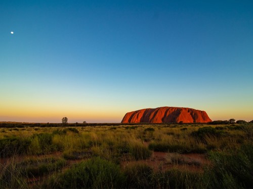 Globus adds 5 new escorted South Pacific journeys for 2020