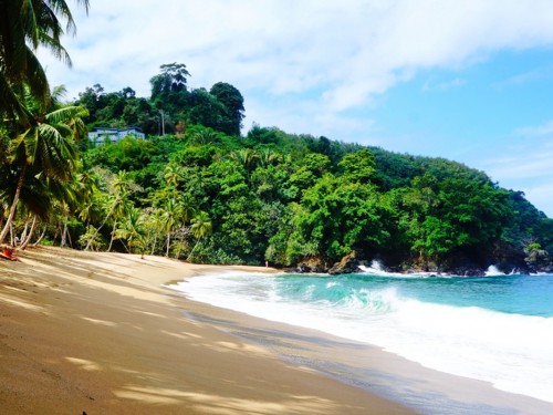 Sunwing returns to Tobago this winter with direct flights from YYZ