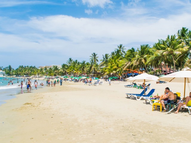 Dominican sees 8% growth from North America