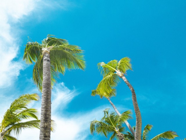 Sunwing offering 3X the points to the Dominican Republic