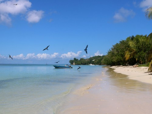 PAX On Location: 5 really good reasons to go to Guadeloupe