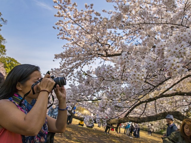 G Adventures & Tokyo Tourism team up for new campaign