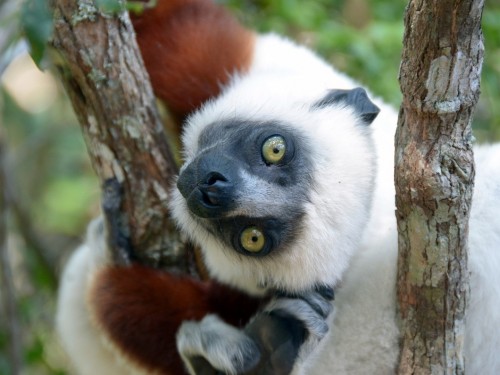 G Adventures launches Animal Welfare Policy on World Animal Day