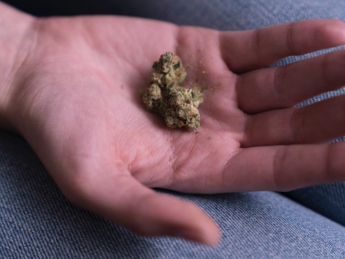 One year later: here's what travellers should know about Canada's Cannabis Act