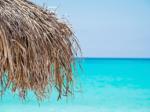 Sunwing & Transat bringing 400+ Canadians home after unexpected Cayo Largo airport closure