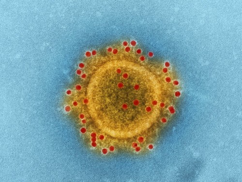 U.S. confirms first deaths from COVID-19; country ups travel restrictions