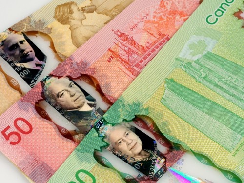 TICO defers fee payments for 90 days