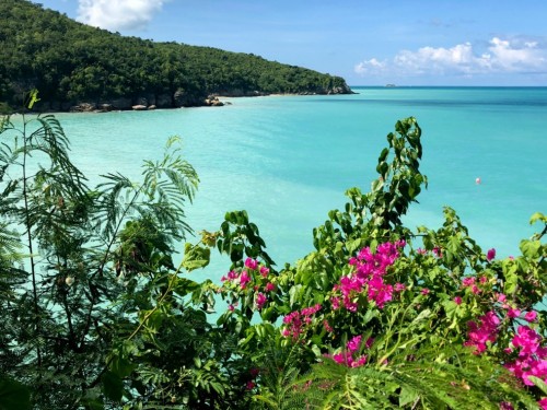 Antigua & Barbuda Tourism Authority launches interactive webinars for Canadian agents