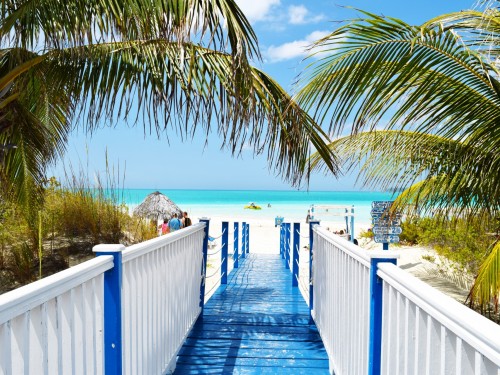 Some Caribbean hotels could collapse if tour ops don't pay up: CHTA