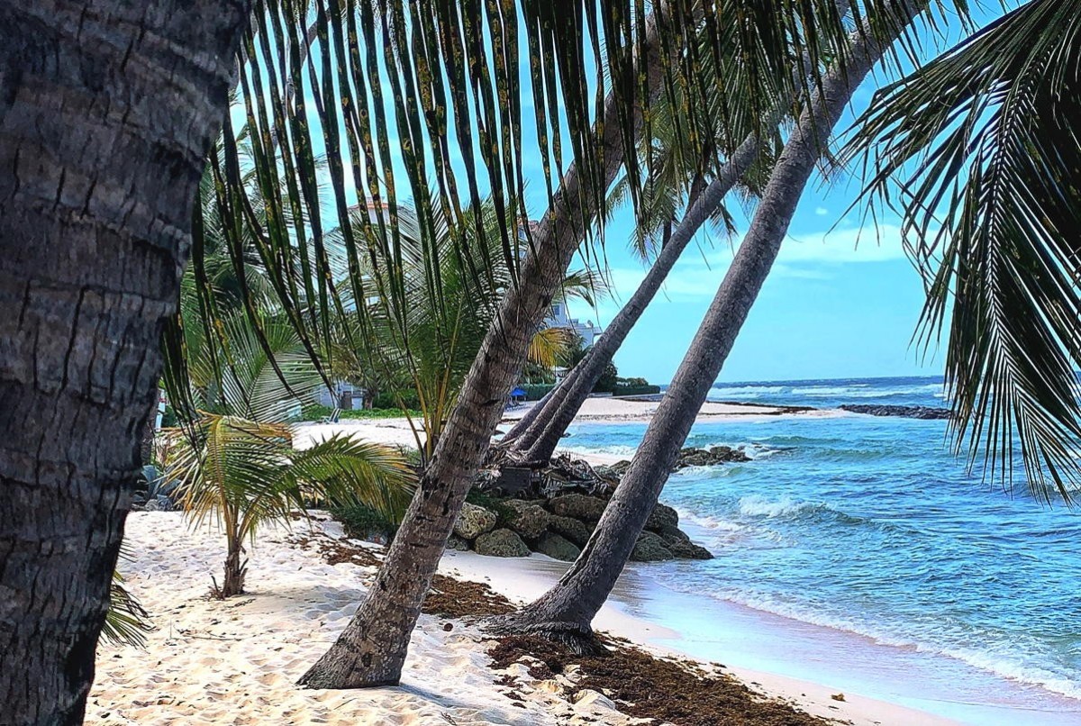 Royalton Luxury chain still coming to Barbados, says Sunwing Travel Group