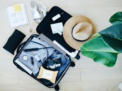 UNWTO: Almost one third of the world has completely stopped international tourism