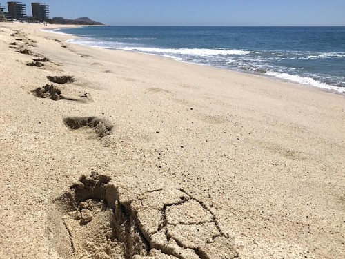 Los Cabos' 5-phase approach to reopening for June 1st