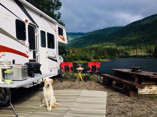 Not sure what to sell this summer? Consider booking an RV holiday