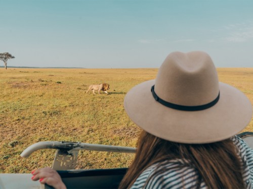 The TreadRight Foundation updates Animal Welfare Policy