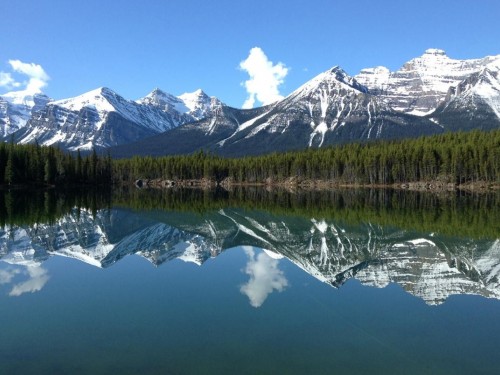 TDC expands domestic vacation options with Fresh Tracks Canada