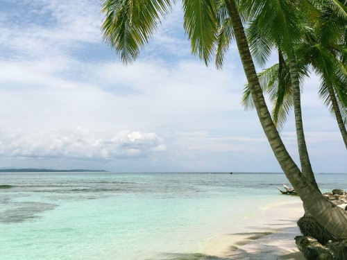 COVID-19 Caribbean Tourism Task Force announce new health & safety initiative