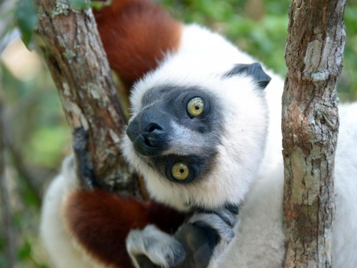 G Adventures adds 4 new tours to Travel with Confidence Plus collection